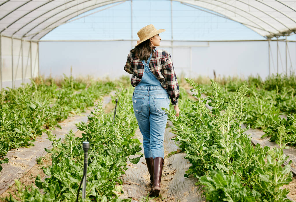 Shot of a female farmer taking a walk through her greenhouse. - Fotoğraf, Görsel