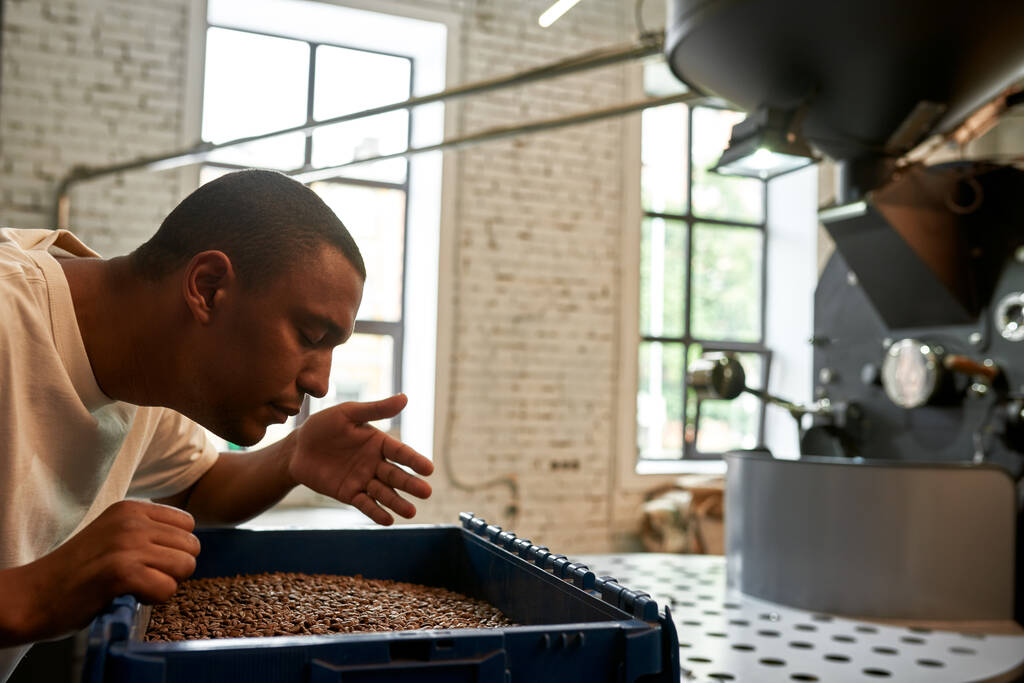 Cropped of black male barista sniffing fresh roasted coffee beans in plastic basket. Coffee process making and production. Small business. Young man with closed eyes checking coffee roasting - Foto, Imagen