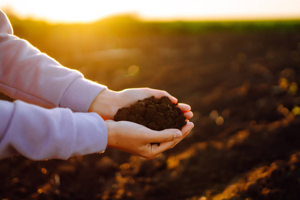 Ręka eksperta rolnik zbieram grunt. Rolnik sprawdza jakość gleby przed wysiewem. Koncepcja biznesowa lub ekologiczna. - Zdjęcie, obraz