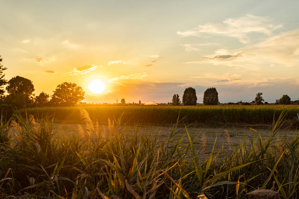 Magnificent sunset over the fields landscape in summer season - Photo, Image