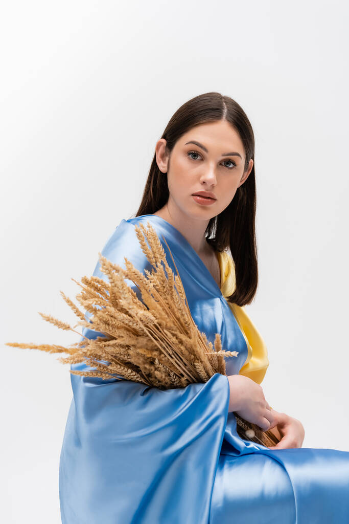 sensual young ukrainian woman covered with blue and yellow flag holding wheat spikelets isolated on grey - 写真・画像