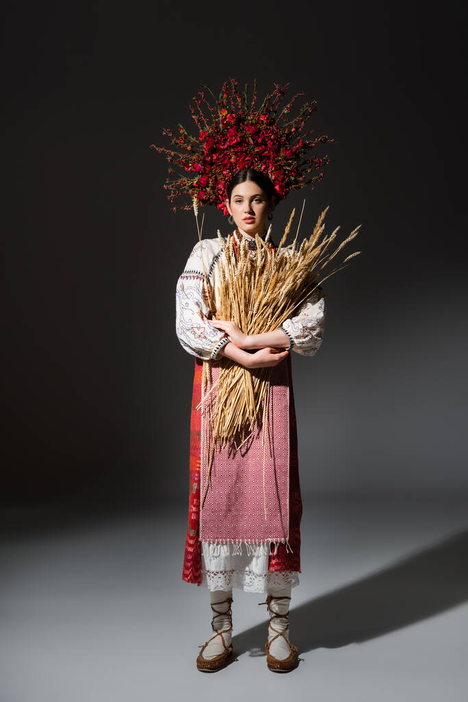 full length of brunette ukrainan woman in red wreath with berries holding wheat spikelets on black - Foto, Imagem