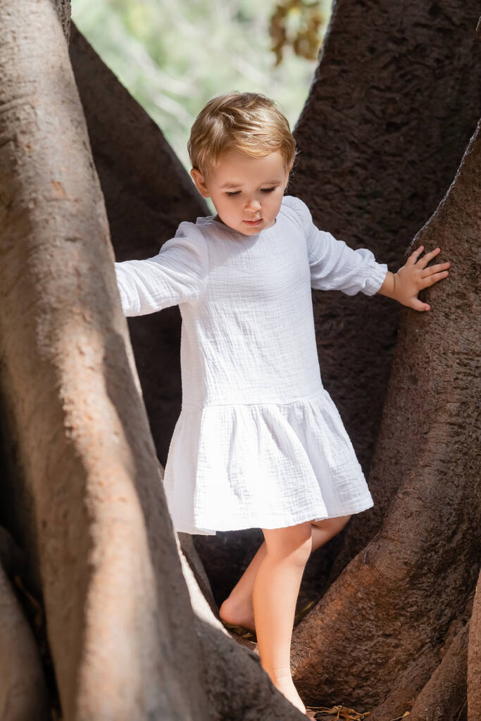 Toddler girl in summer dress standing on tree in park  - Foto, afbeelding