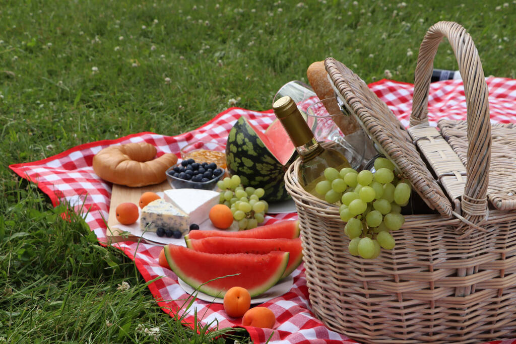 Piknik huopa herkullista ruokaa ja viiniä ulkona kesäpäivänä - Valokuva, kuva