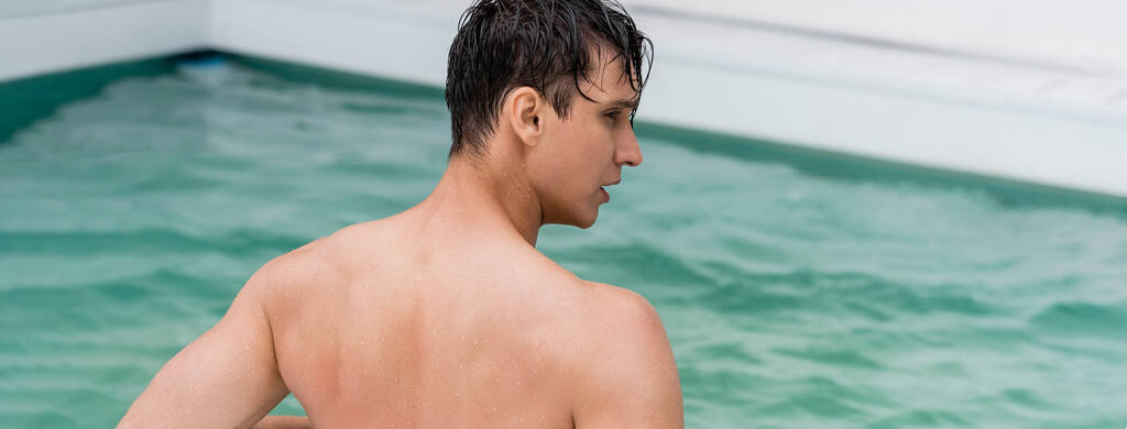 back view of wet sportive man looking away in blurred pool, banner - Zdjęcie, obraz