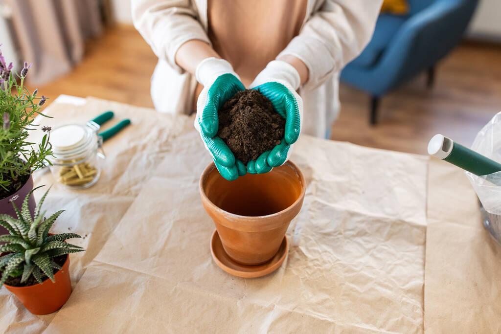 people, gardening and housework concept - close up of woman in gloves pouring soil to flower pot at home - Photo, Image