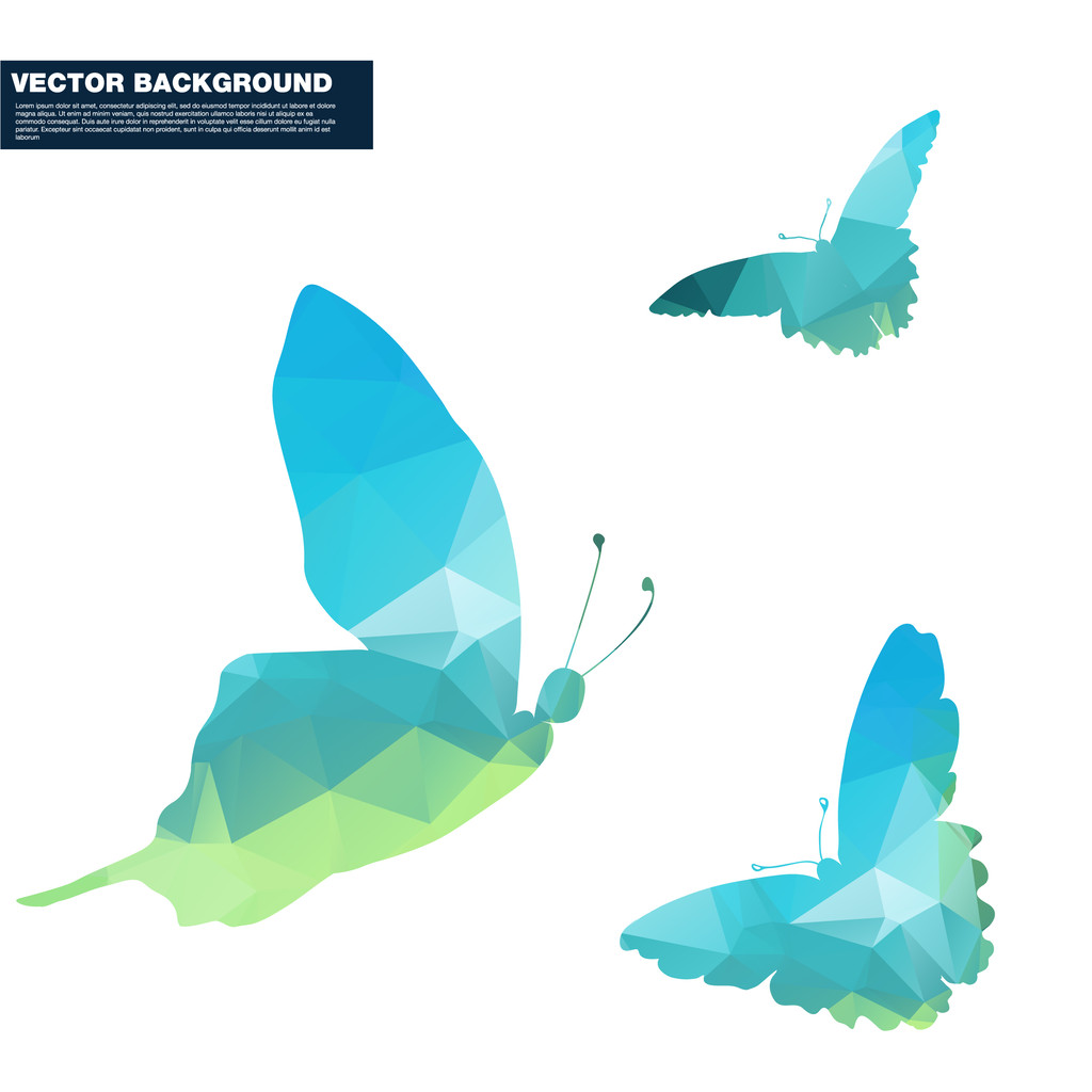 Багатокутник метелик
 - Вектор, зображення