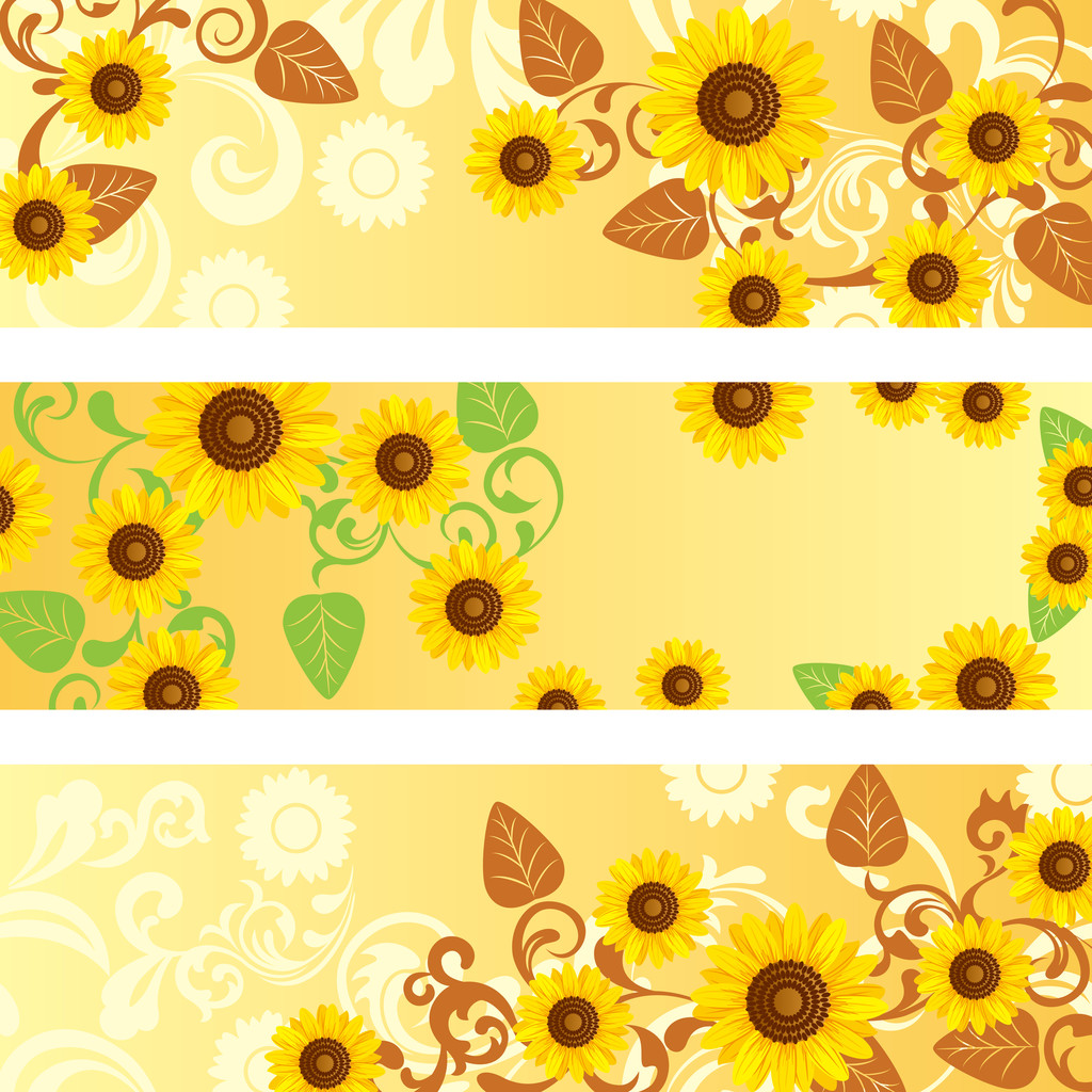 zonnebloem banners set - Vector, afbeelding