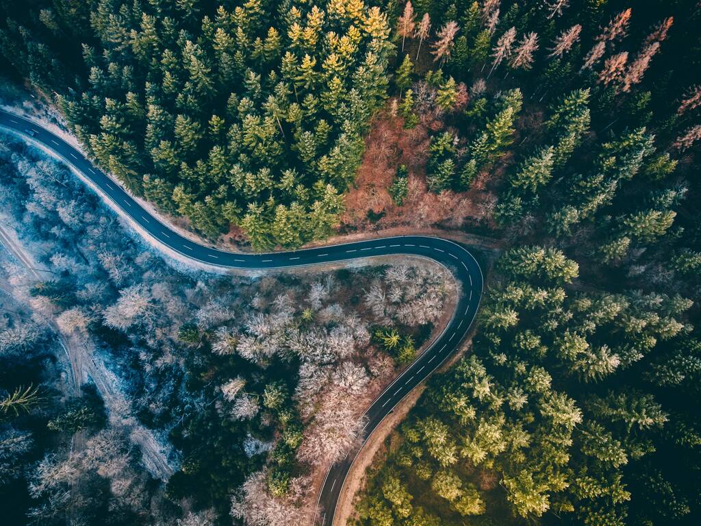 Almanya 'daki bir ormandan geçen bir güzergahın havadan görüntüsü. - Fotoğraf, Görsel