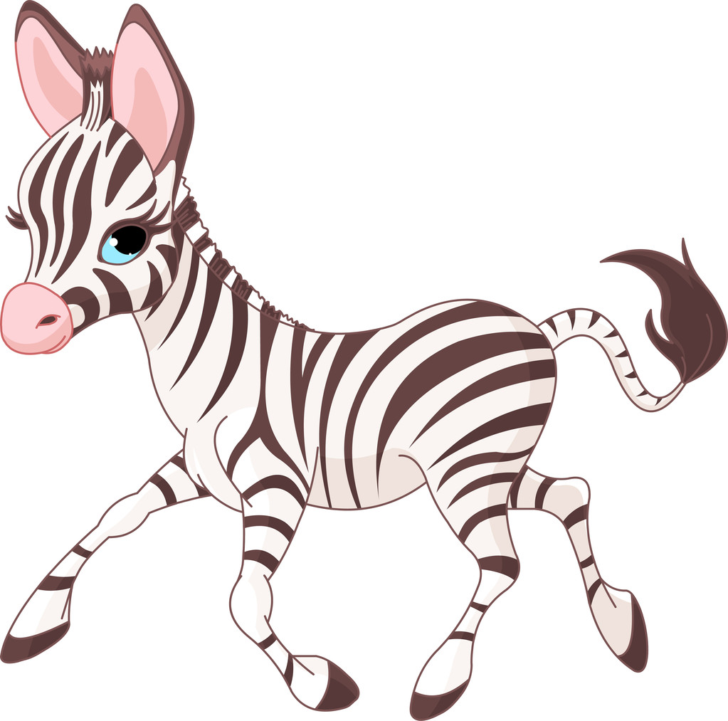 Bonito correndo bebê Zebra
 - Vetor, Imagem
