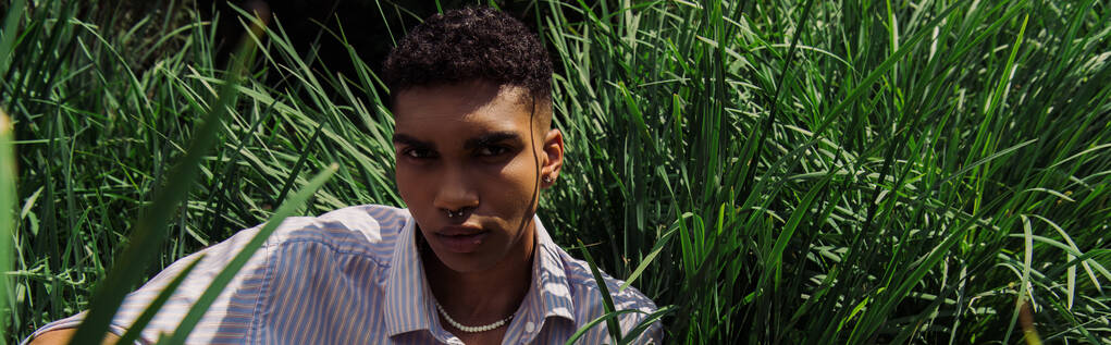 młody Afroamerykanin człowiek z przekłuwającym patrząc w aparat w pobliżu zielonej trawy, sztandar - Zdjęcie, obraz