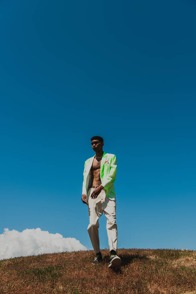 full length african american man in trendy clothes walking in meadow - 写真・画像