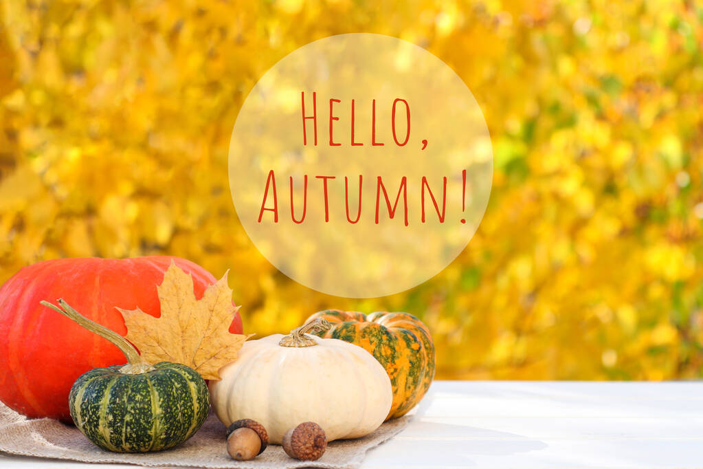 Autumn festive composition with pumpkins and acorns and text HELLO AUTUMN against yellow autumn foliage. Copy space, selective focus. - Fotoğraf, Görsel