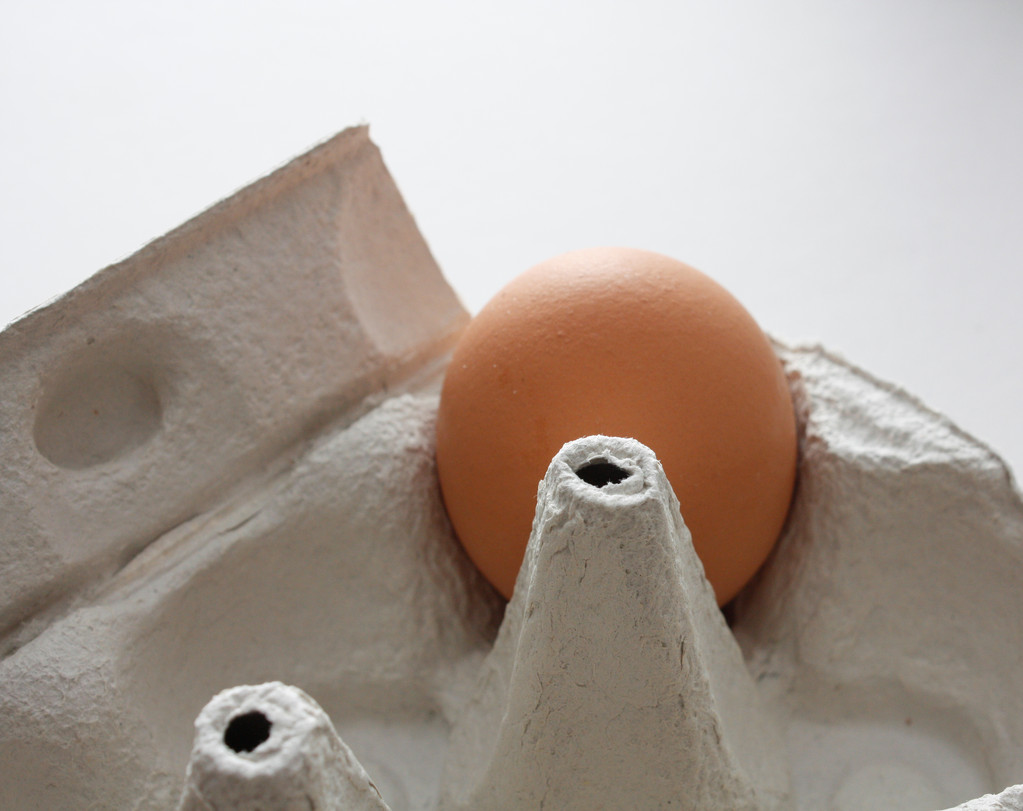 Яйцо в поддоне
 - Фото, изображение