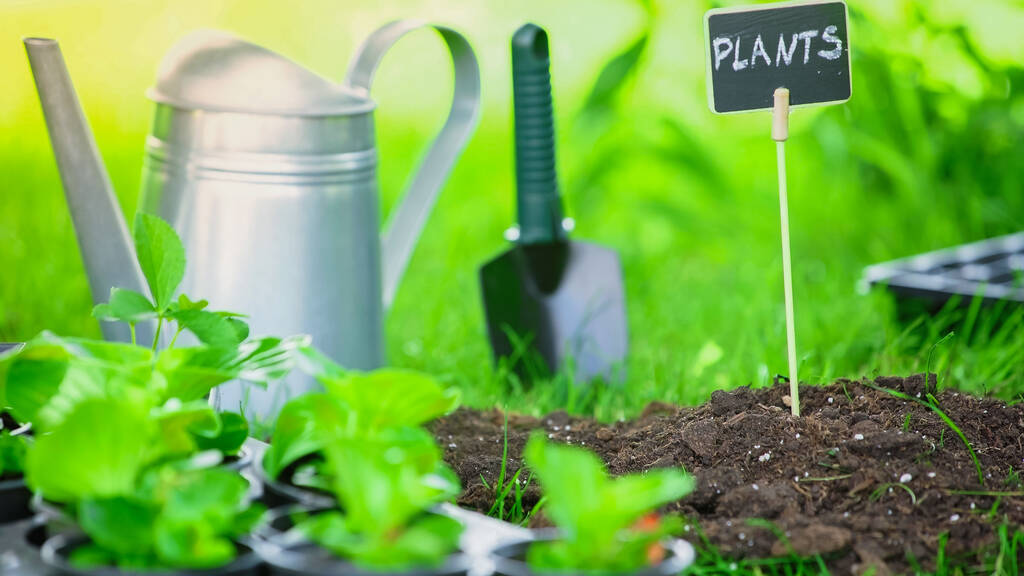 Board with plants lettering in soil near watering can and shovel in garden  - Photo, Image
