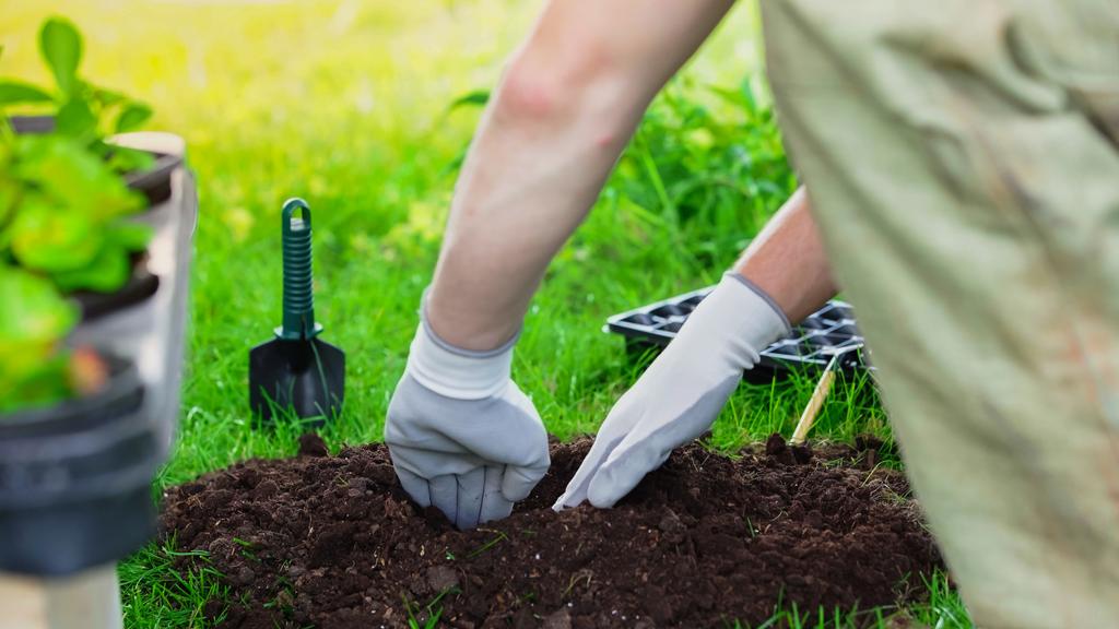 Cropped view of gardener digging soil near tools and plants in blurred garden  - Photo, Image