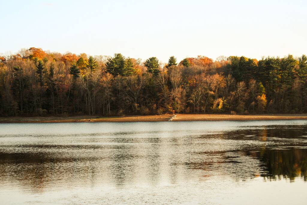 Una puesta de sol de otoño en el lago del bosque - Foto, imagen
