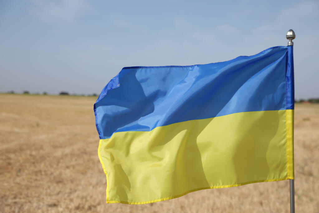 青い空に対する小麦畑でのウクライナの国旗,クローズアップ - 写真・画像