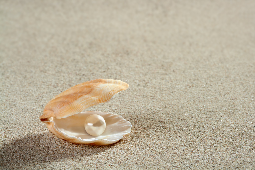 plaj beyaz kum inci kabuk midye makro - Fotoğraf, Görsel