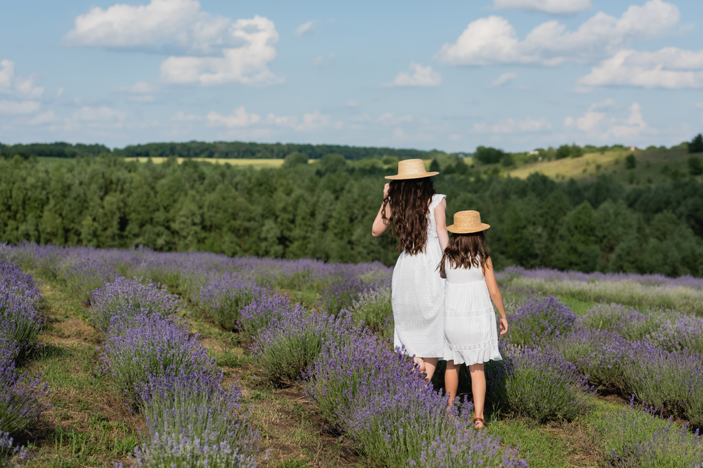 back view of mother and daughter in white dresses walking in lavender field - Photo, image