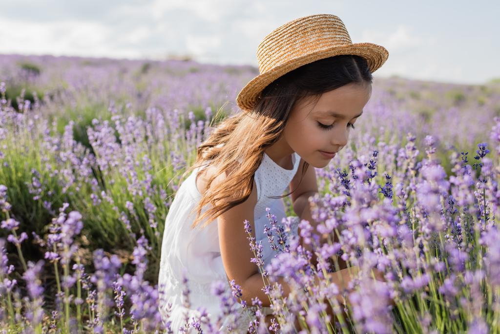 ребенок с длинными волосами и в соломенной шляпе на лугу с цветущей лавандой - Фото, изображение