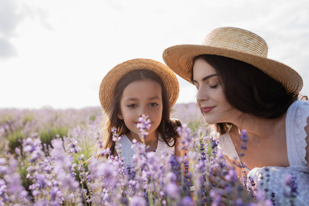 brunette woman in straw hat smelling lavender near woman in meadow - Foto, afbeelding