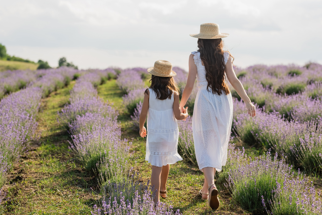 back view of mom and daughter holding hands while walking in lavender meadow - Zdjęcie, obraz