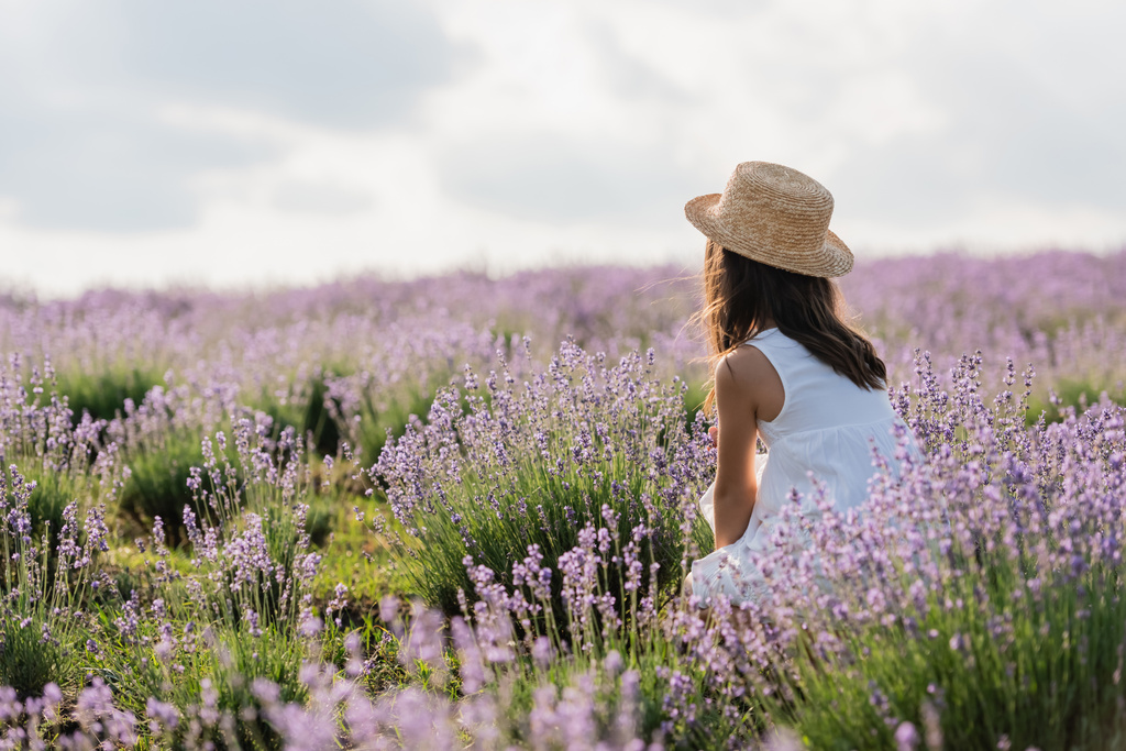 back view of girl in straw hat and white dress sitting in meadow with lavender - Foto, imagen