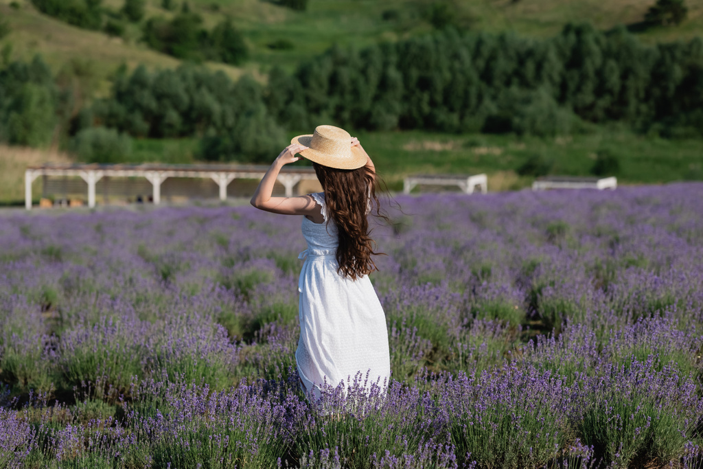 back view of brunette woman in straw hat and white dress in lavender field - Foto, Bild