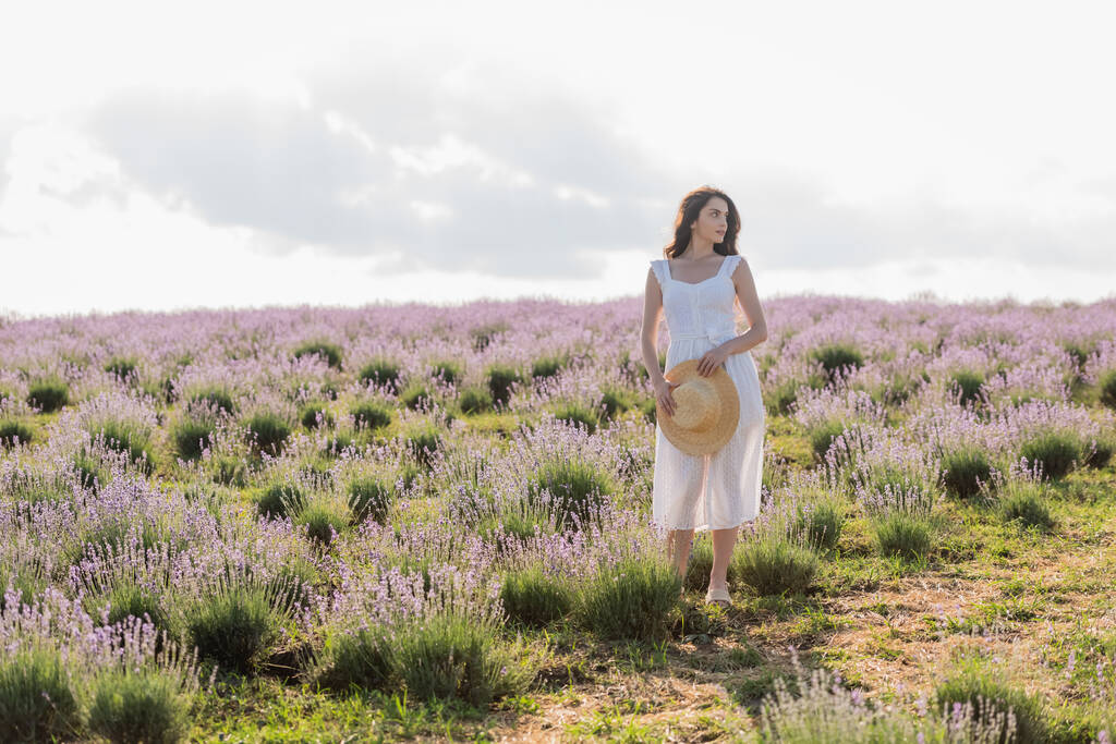 full length of brunette woman in white dress standing with straw hat in field with blooming lavender - Fotó, kép