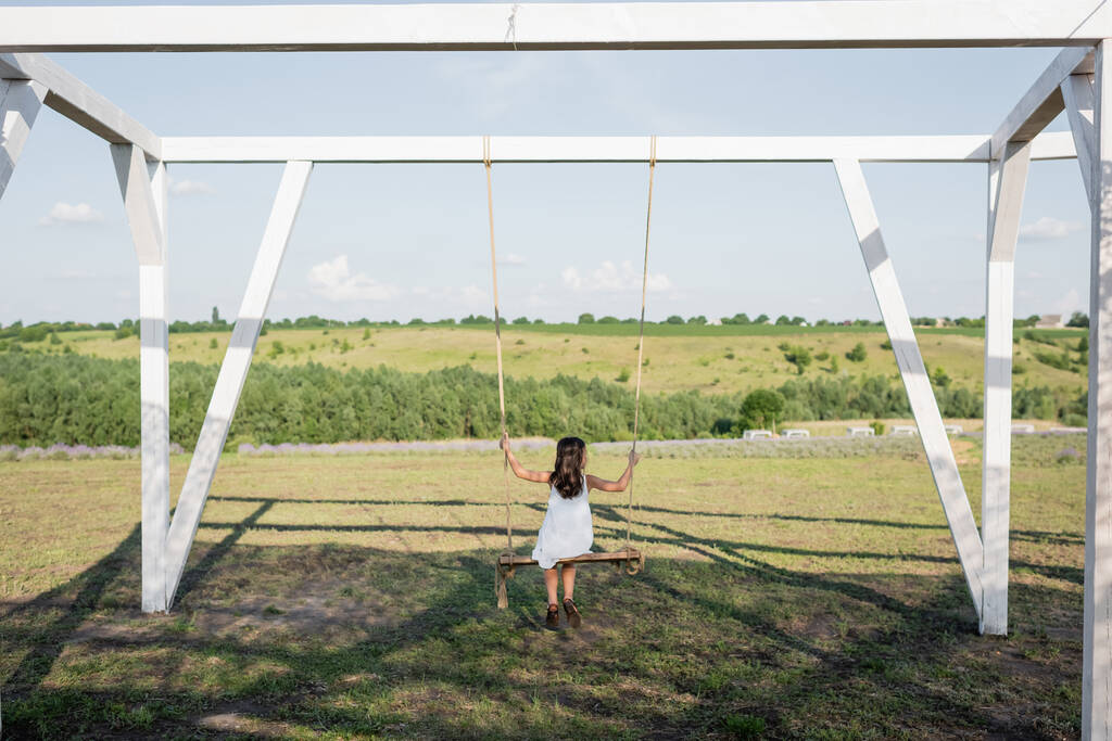 back view of child in summer dress riding swing in field at countryside - Foto, immagini