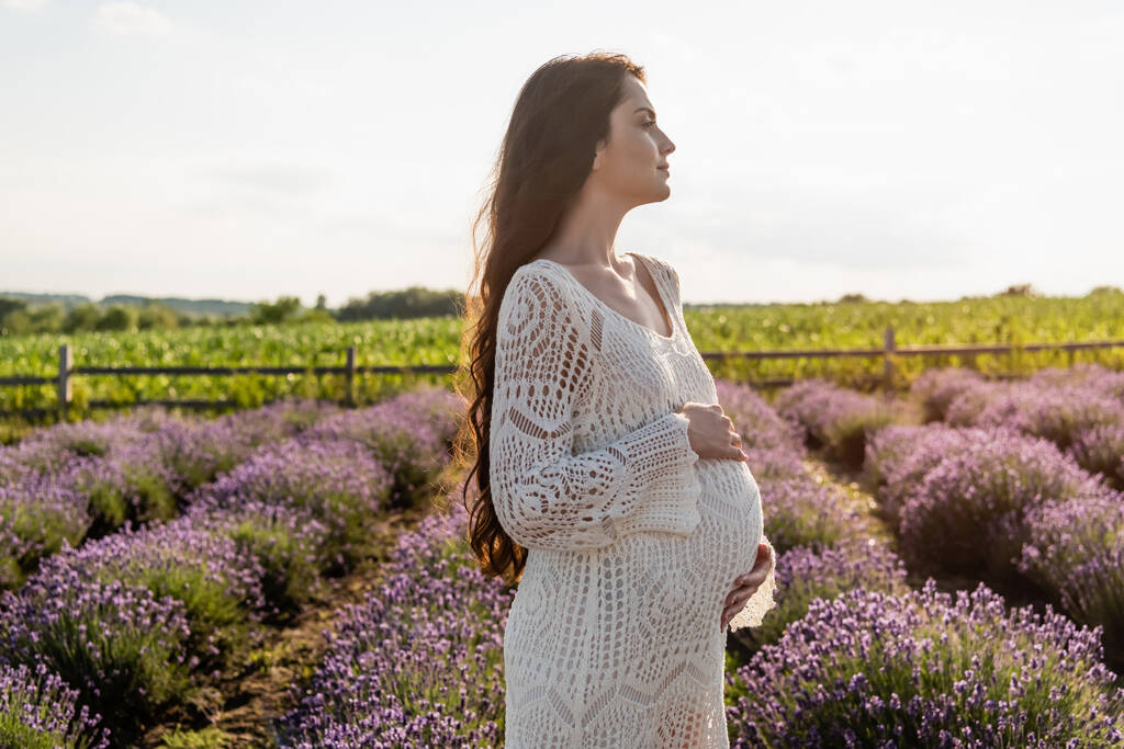 πλαϊνή άποψη της εγκύου γυναίκα στο φόρεμα στον τομέα με ανθισμένη λεβάντα - Φωτογραφία, εικόνα