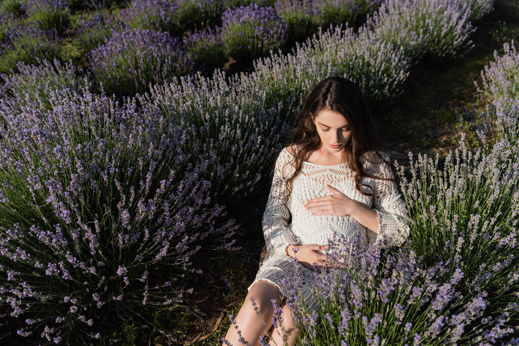 high angle view of pregnant woman sitting in field with lavender flowers and touching belly - Foto, Bild