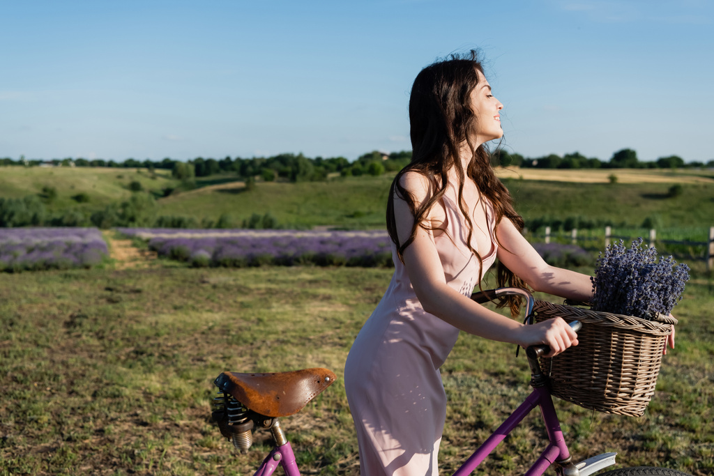 side view of brunette woman walking with bike and lavender in wicker basket - Fotografie, Obrázek