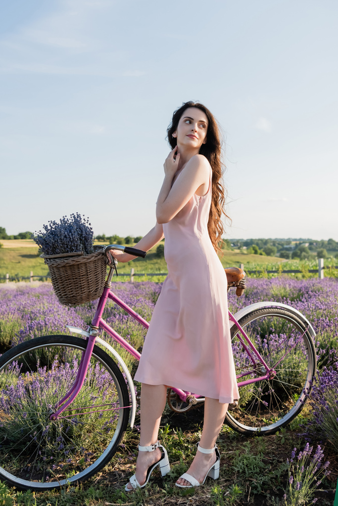 brunette woman with bike and lavender in wicker basket looking away outdoors - Foto, imagen