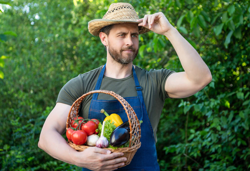 horticulturist in straw hat hold basket full of vegetables. - Photo, Image