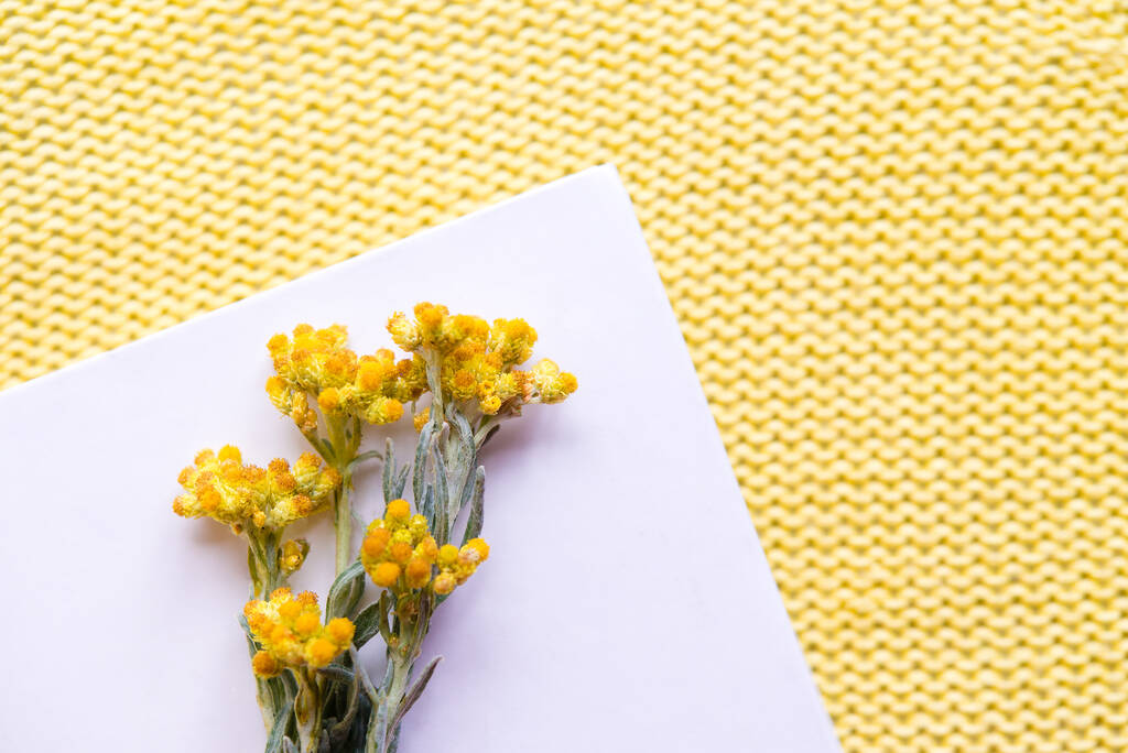 yellow flower in a white book on a yellow knitted background - 写真・画像