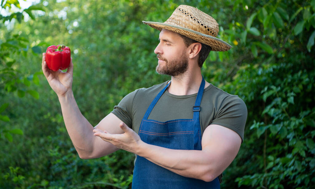 man greengrocer in straw hat presenting sweet pepper. - Foto, immagini