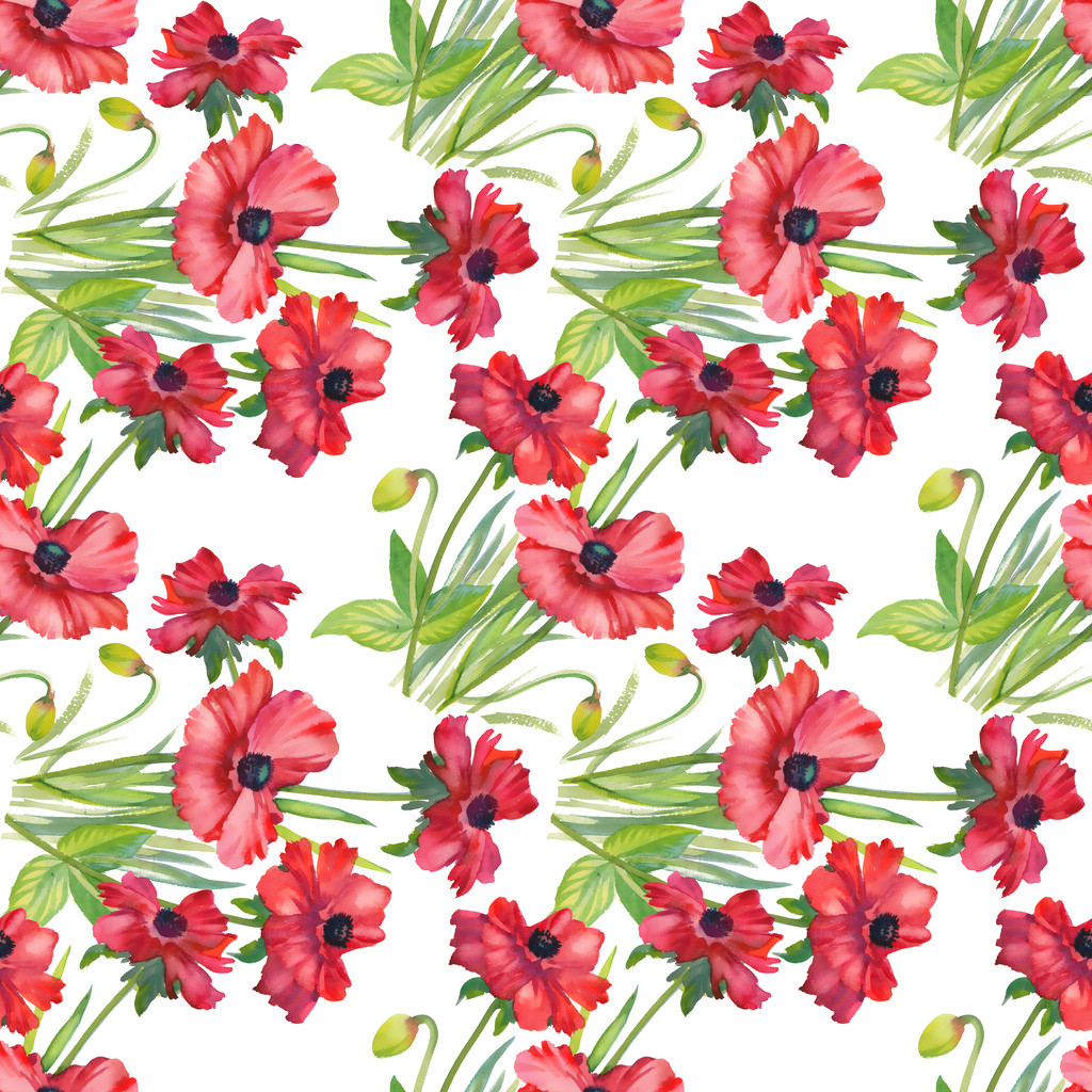 Poppies floral background - Photo, Image