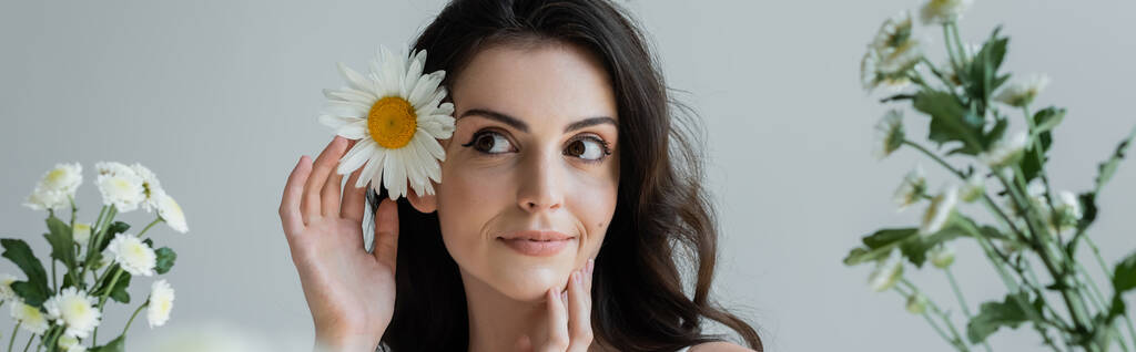 Pretty brunette woman touching chamomile in hair near flowers isolated on grey, banner  - 写真・画像