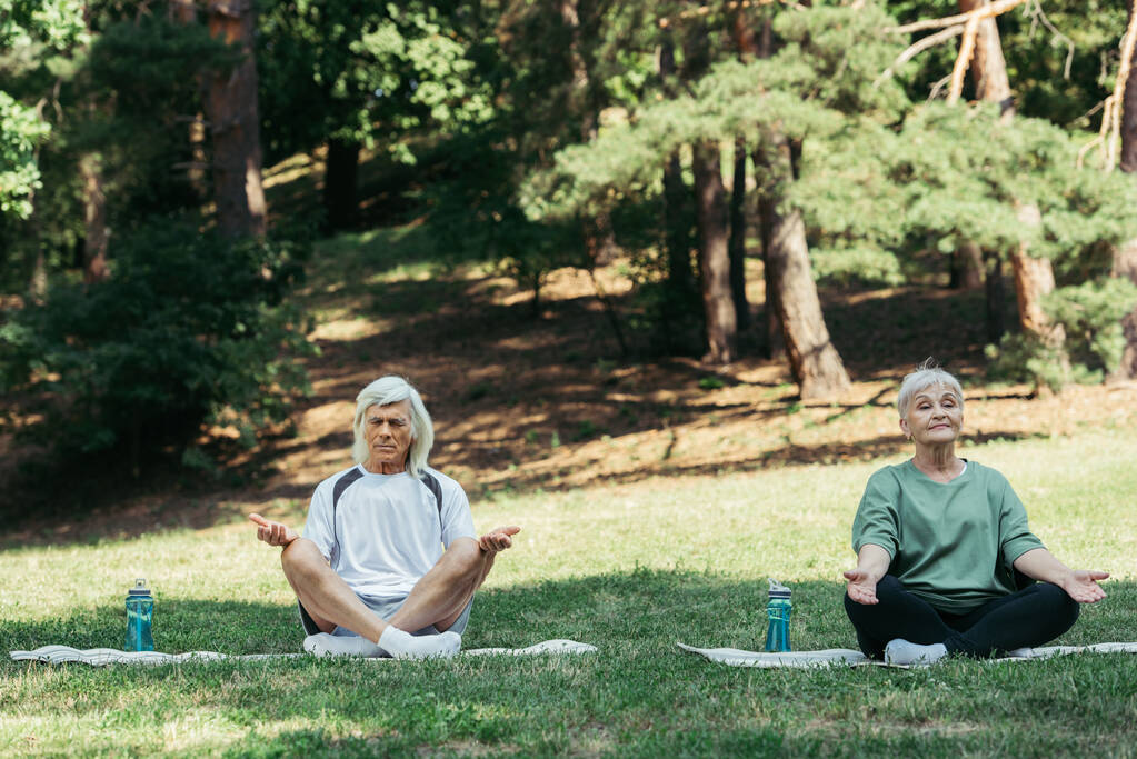 full length of senior couple sitting in yoga pose and meditating on fitness mats in green park  - Foto, afbeelding