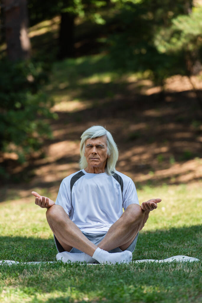 полная длина старший человек сидя в позе йоги и медитации на фитнес-мат в зеленом парке  - Фото, изображение