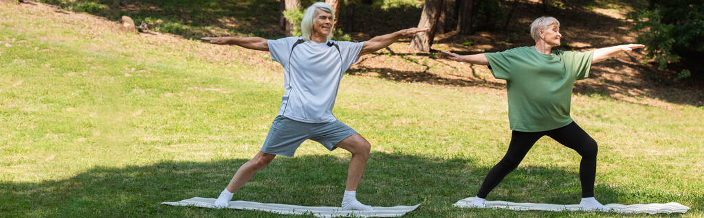 πλήρες μήκος του ηλικιωμένου ζευγαριού στην άσκηση αθλητικών ειδών σε στρώματα γυμναστικής στο πράσινο πάρκο, πανό - Φωτογραφία, εικόνα