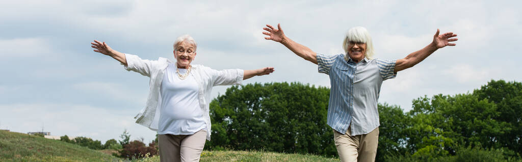 щаслива старша пара в окулярах і сорочках, що йдуть з витягнутими руками, банер
 - Фото, зображення