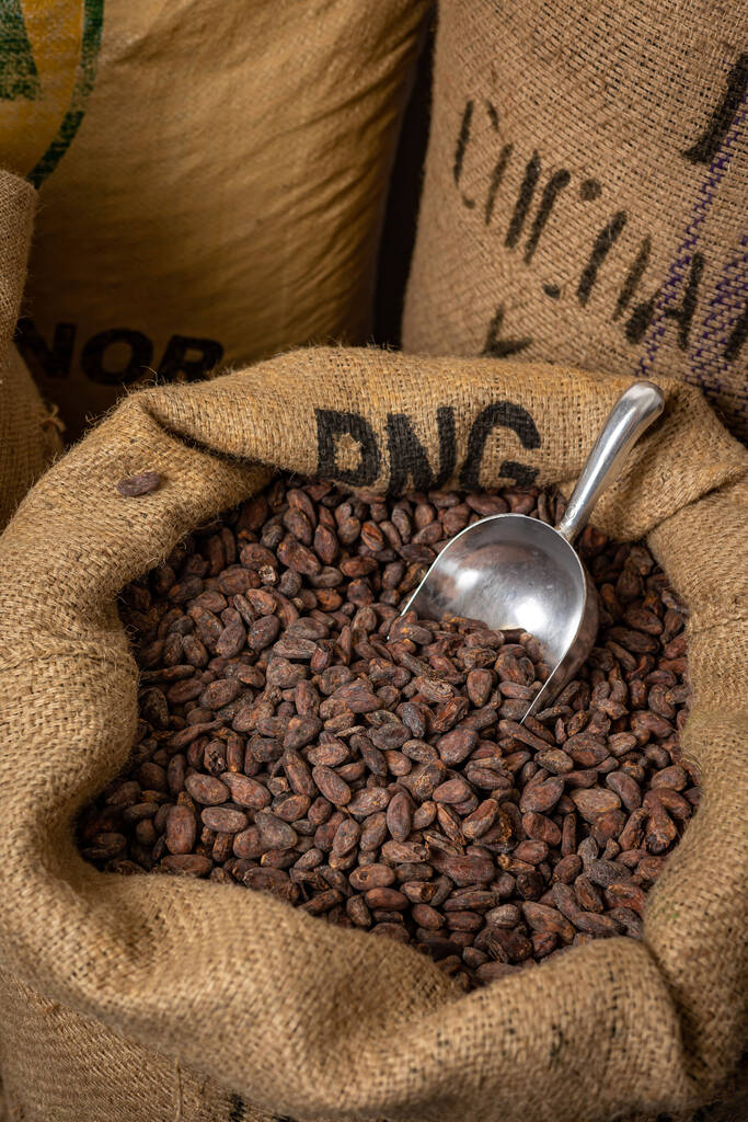 Canvas bag with Imported roasted cacao beans - Fotografie, Obrázek