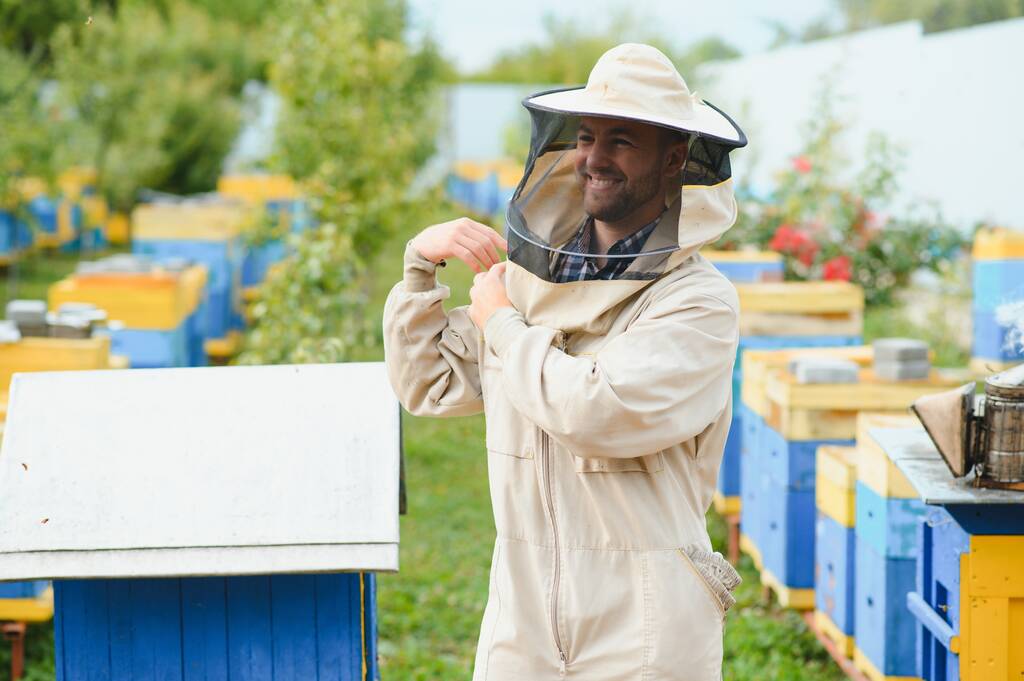 Arıcı apiary üzerinde arı lar ve arı kovanları ile çalışıyor. Arıcılık kavramı. - Fotoğraf, Görsel