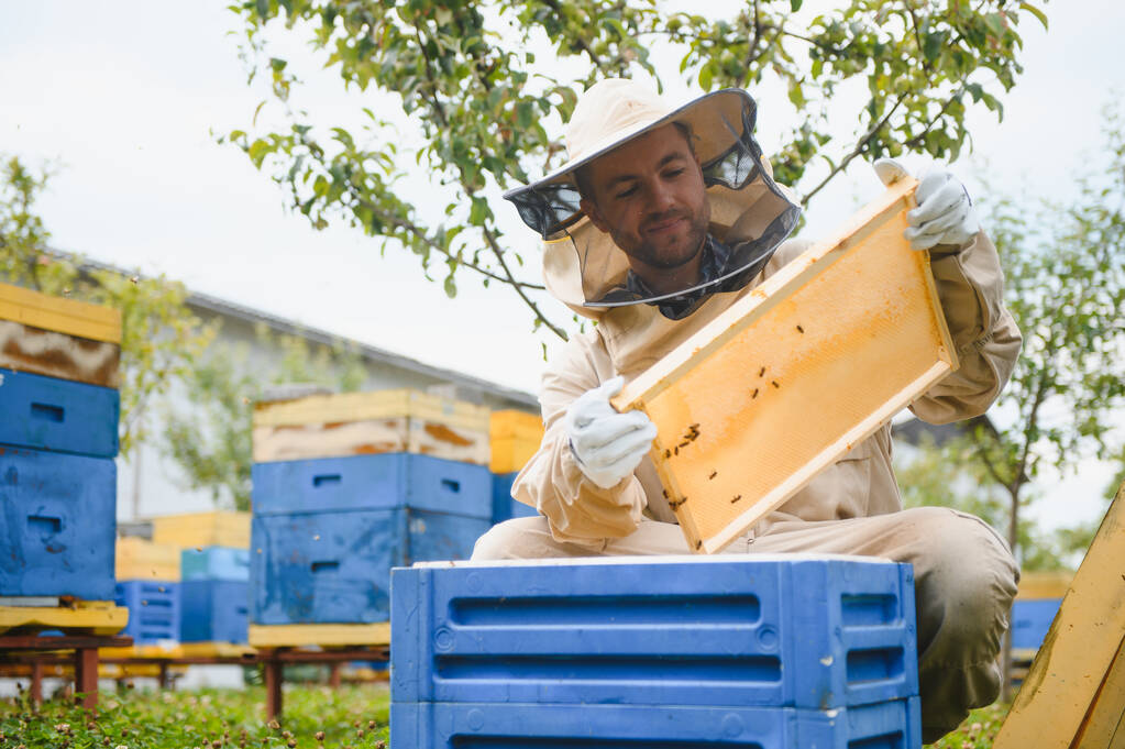 L'apicoltore che lavora colleziona miele. Concetto di apicoltura - Foto, immagini