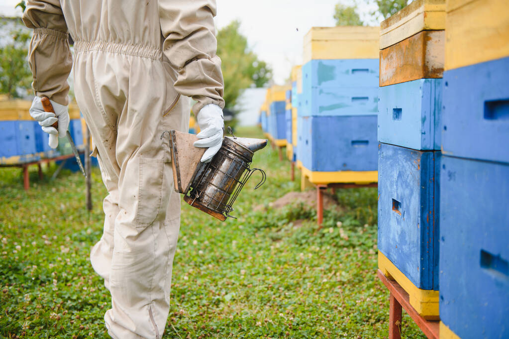 Ο μελισσοκόμος δουλεύει με μέλισσες και μελίσσια στο μελισσοκομείο. Μέλισσες σε κηρήθρα. Σκελετοί από μελίσσια. Μελισσοκομία. Γλυκιά μου. Υγιεινή τροφή. Φυσικά προϊόντα - Φωτογραφία, εικόνα