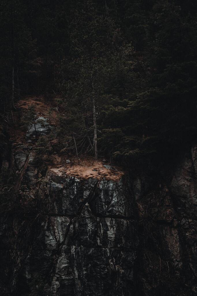 Un hermoso tiro de pinos en un acantilado rocoso en una Cascadas del Norte - Foto, Imagen