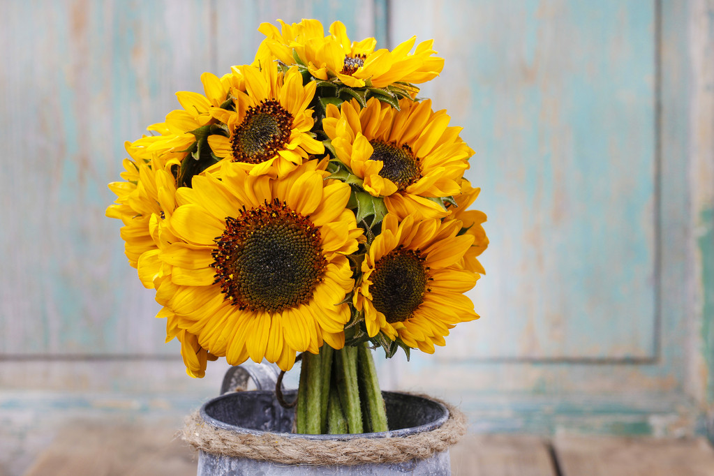 Strauß Sonnenblumen - Foto, Bild